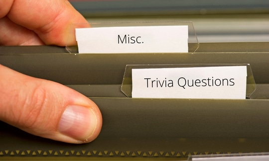 Miscellaneous Trivia, Like General Trivia, Helps Fill In the Gaps Between Specified Categories While Still Pulling From It.