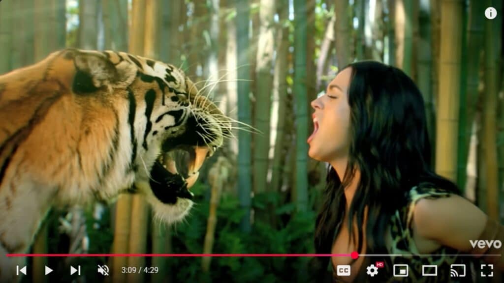 Roar by Katy Perry Lyrics and Video