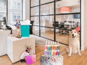 Bring Your Pet To Work Day