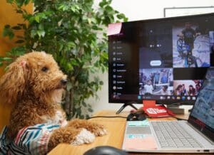 Increasing Productivity, Increases Company Performance