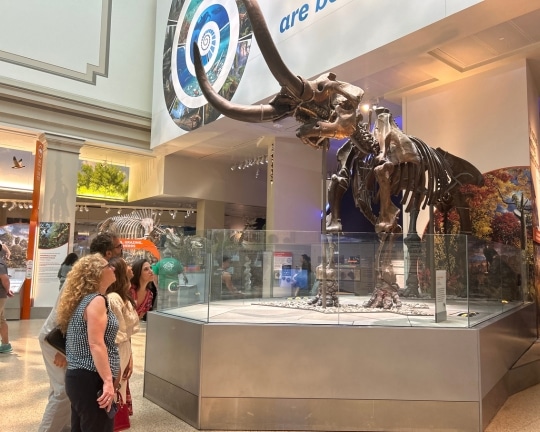 Immunocore Takes Their Team On a Smithsonian Scavenger Hunt in D.C